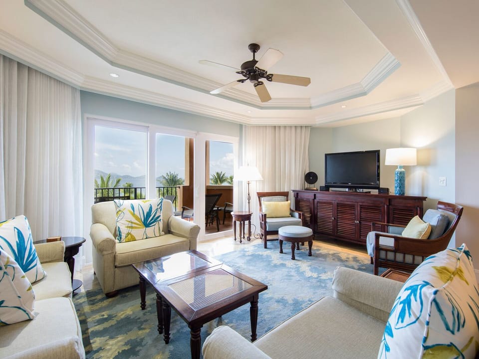 Living room (sofa is a pull out couch) 