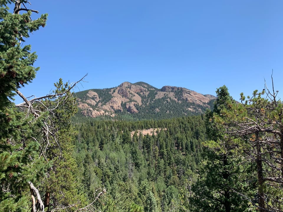 View from the house.