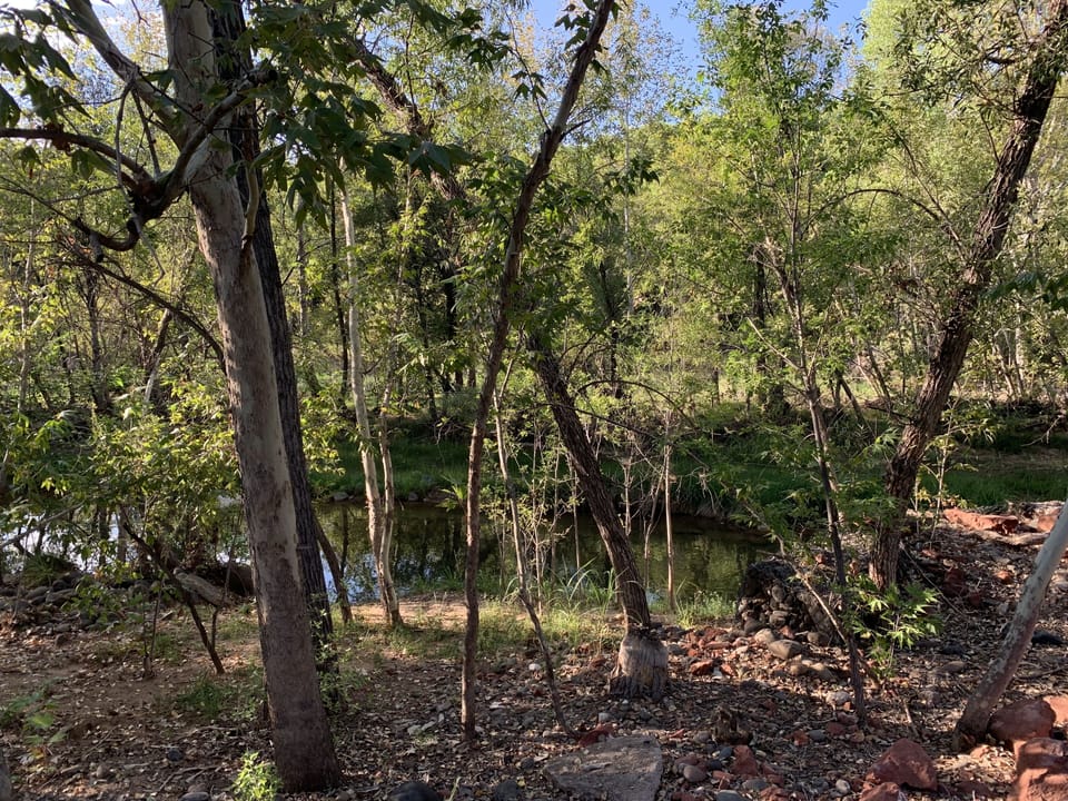Looking across the creek from the cabin
