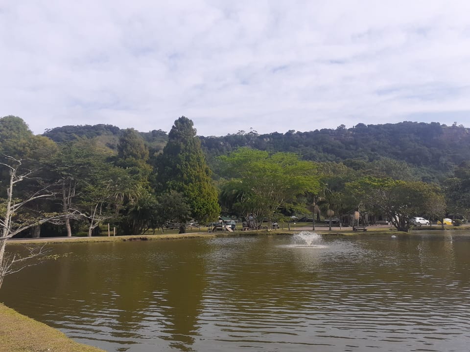 Lake