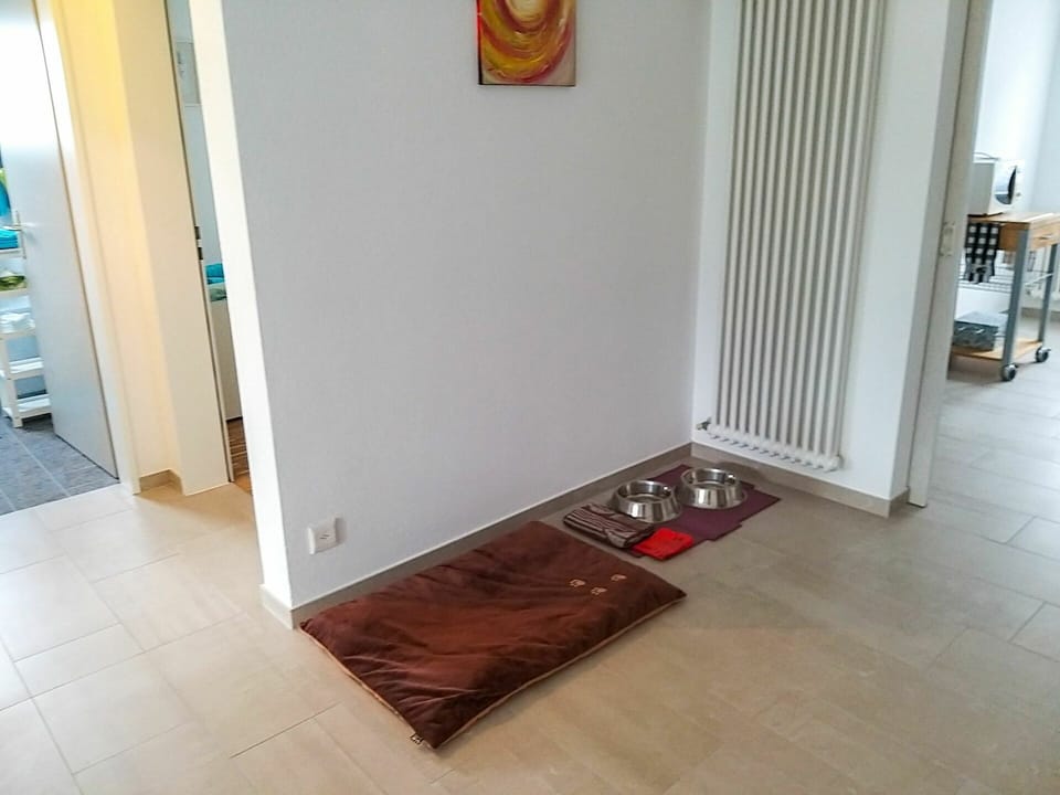 Wood, Flooring, Door, Floor, Wood Stain, Home Door, Laminate Flooring, Hardwood, Gas