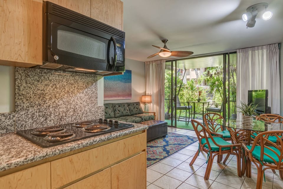 Countertop stove burners, no oven available