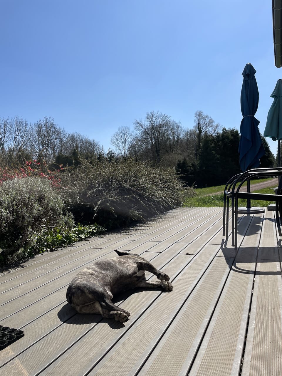 decks and terraces