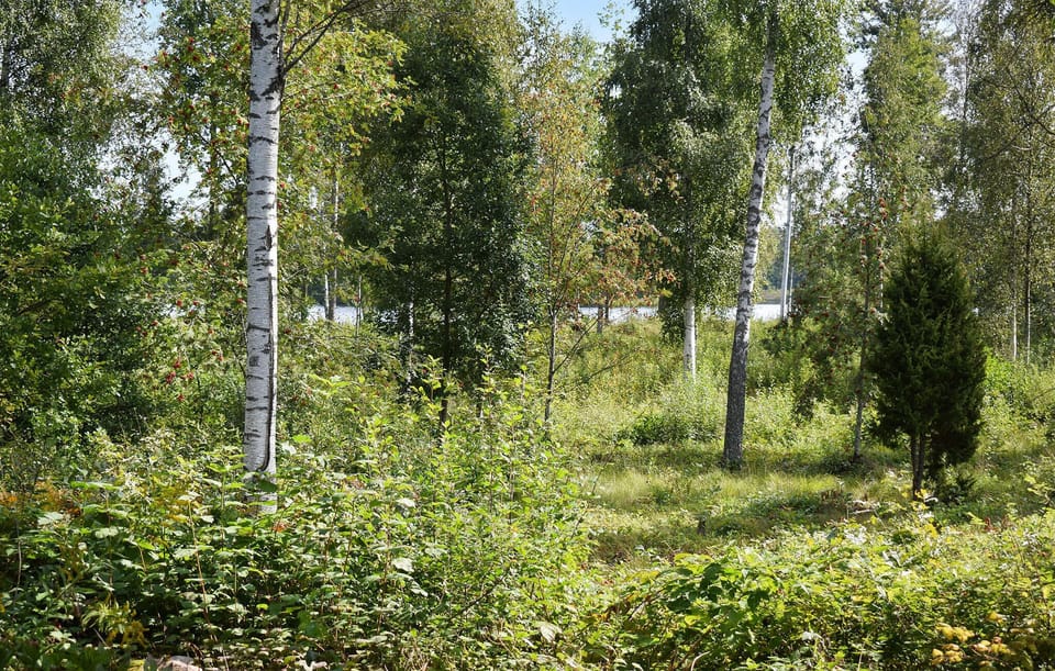 area