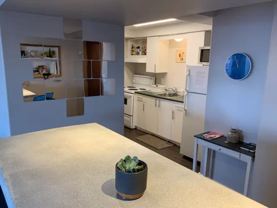 Bar/kitchen area