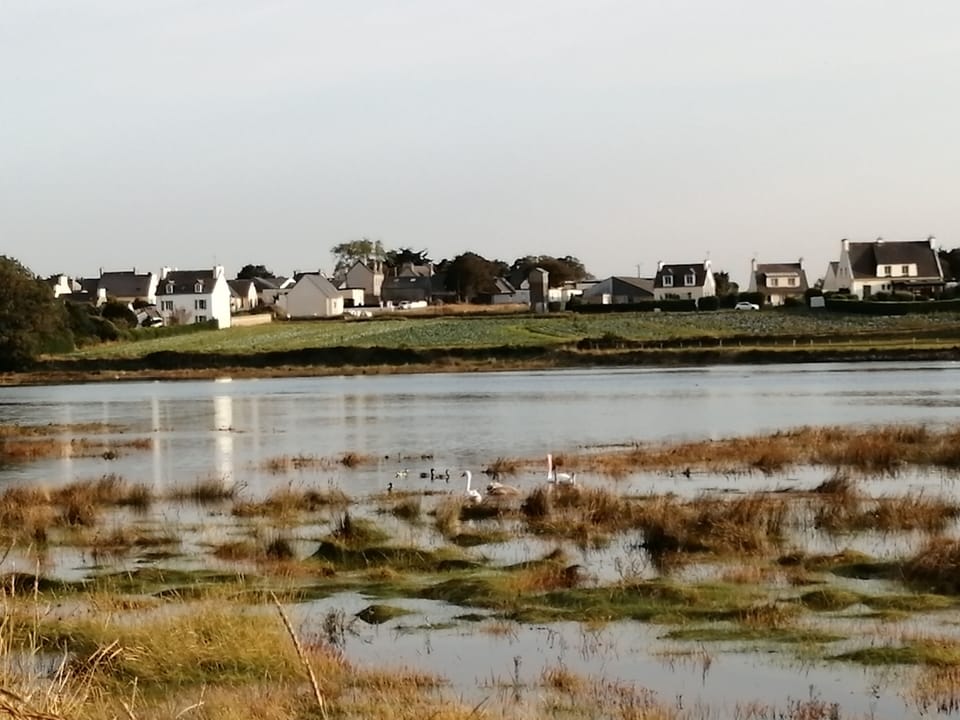 Lake