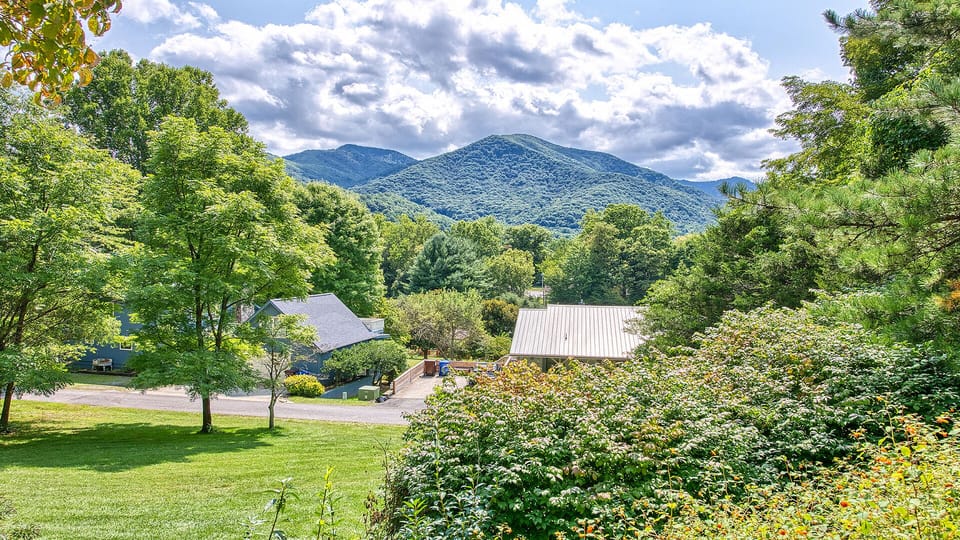 View from Driveway
