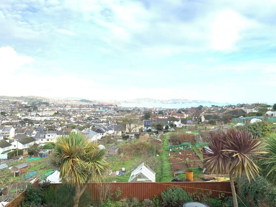 View | Paignton View, Paignton