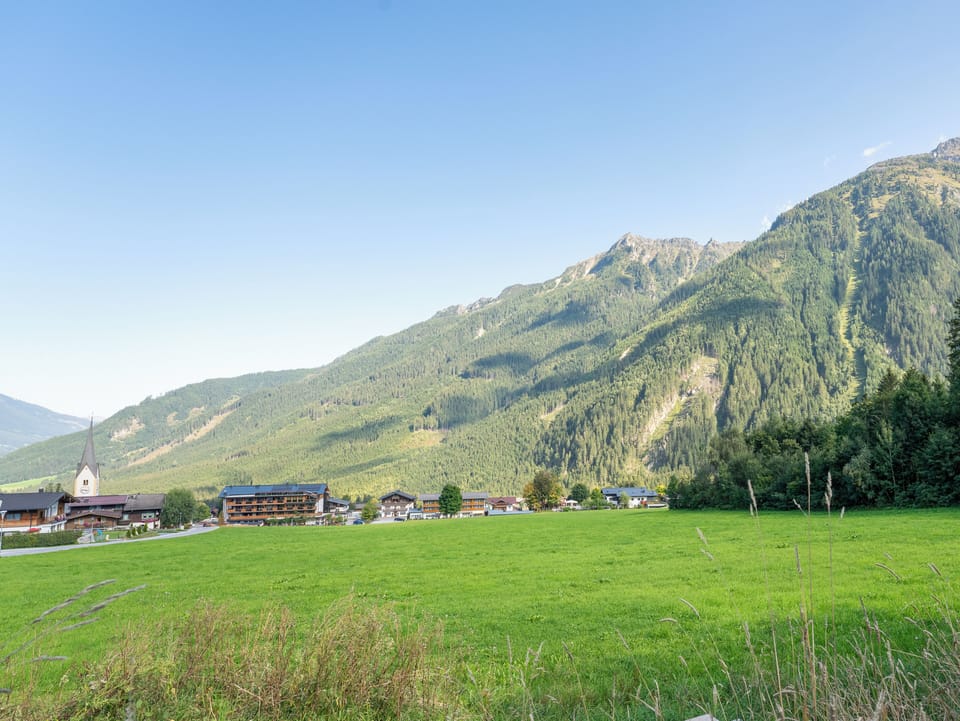 View from Holiday Home [summer]