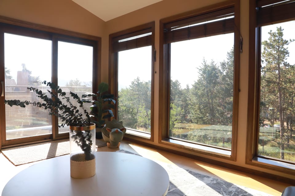 Living Room Window
