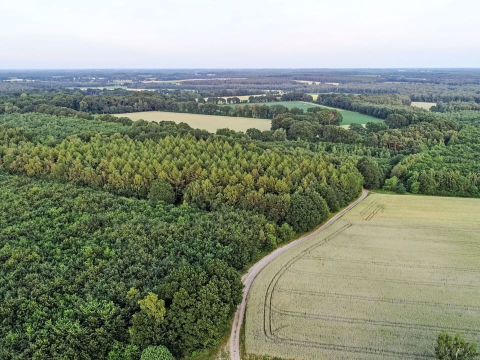 Natural Environment, Natural Landscape, Aerial Photography, Landscape, Bird'S-Eye View, Ecoregion, Plantation, Plain, Land Lot, Field