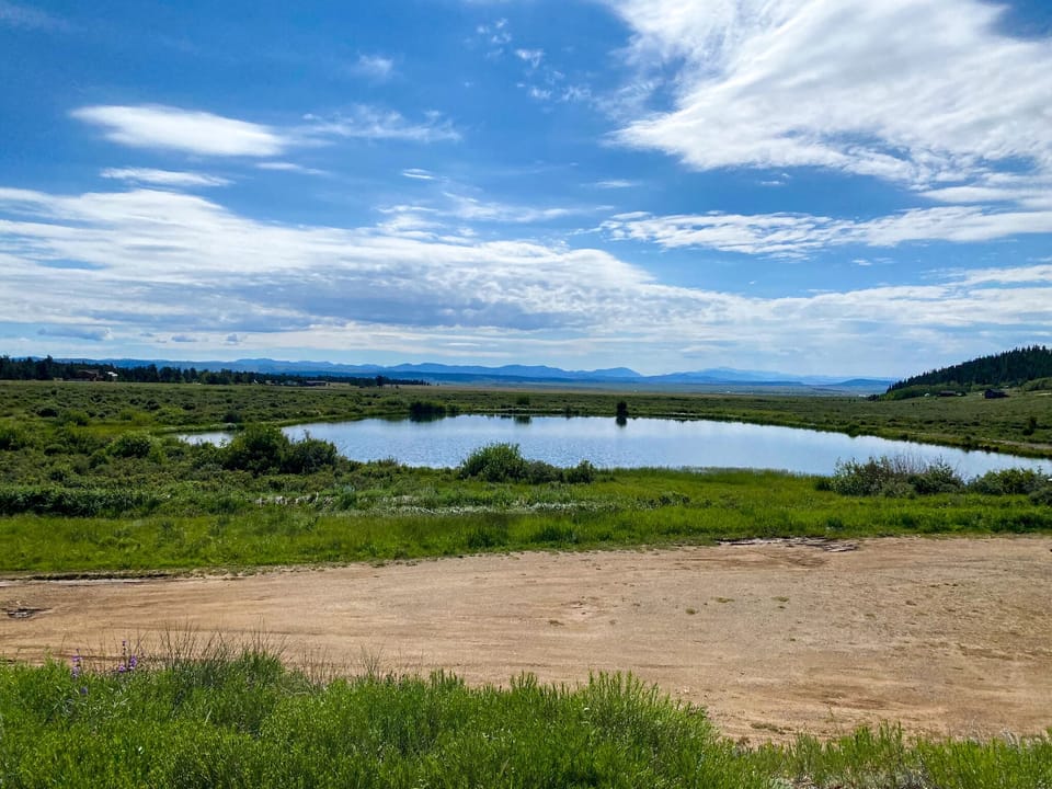 A small fishing pond just down the road is available for you to use!
