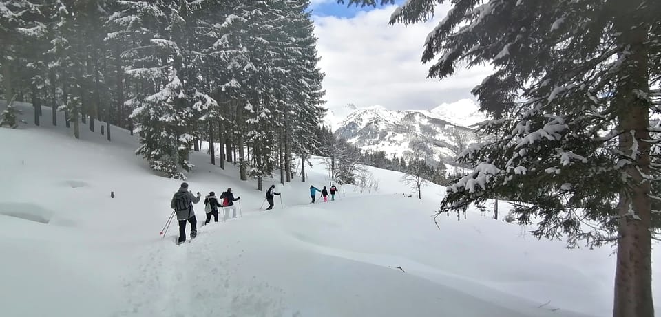 Snow and ski sports
