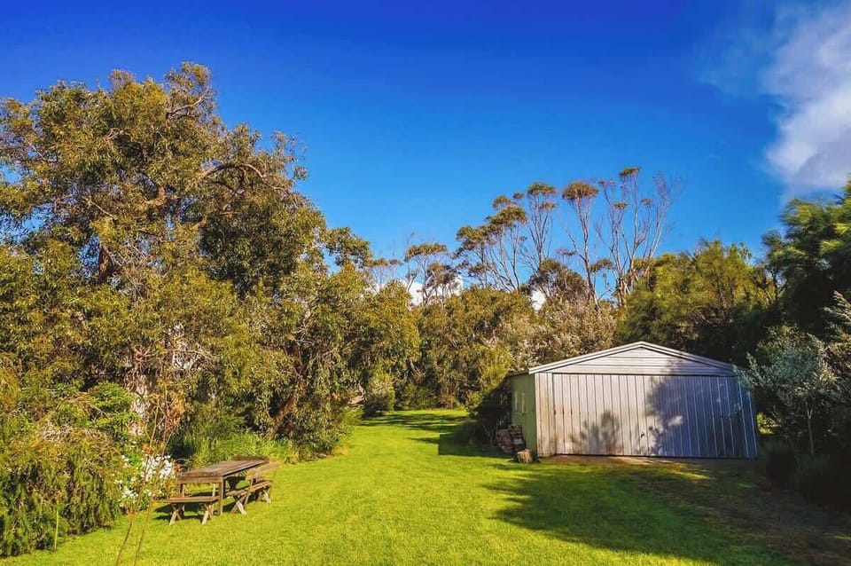 Large backyard and shed filled with everything you need for family fun. Wetsuits, bikes, table tennis, etc. 