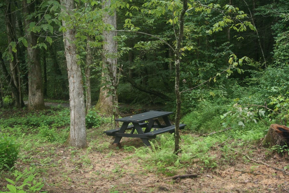 Eat or read by the creek, it is sooo peaceful
