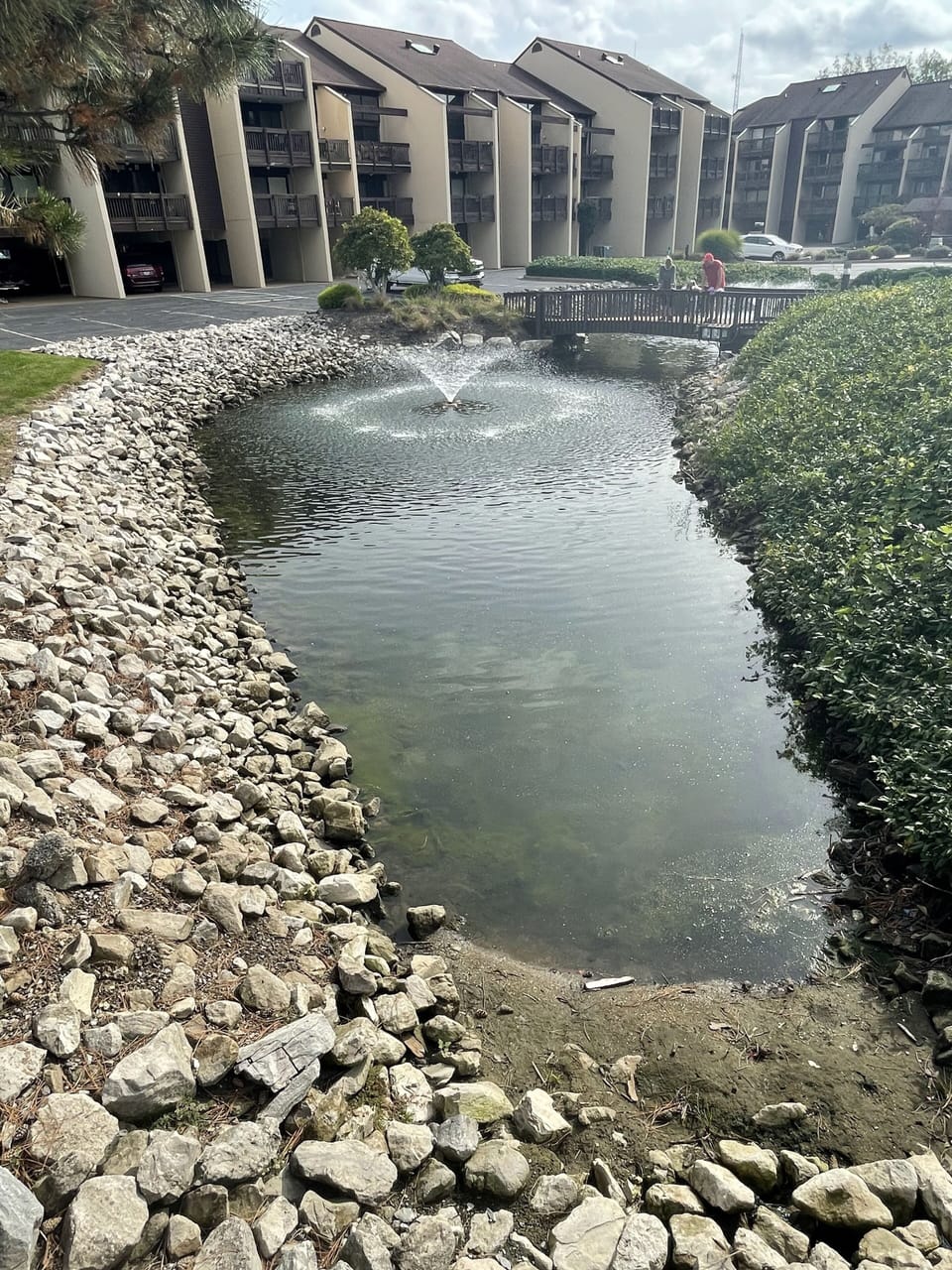 pond