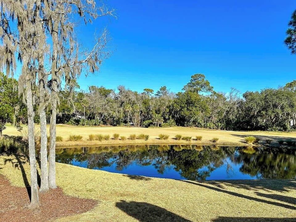 Balcony View of Lagoon and Golf Course Views