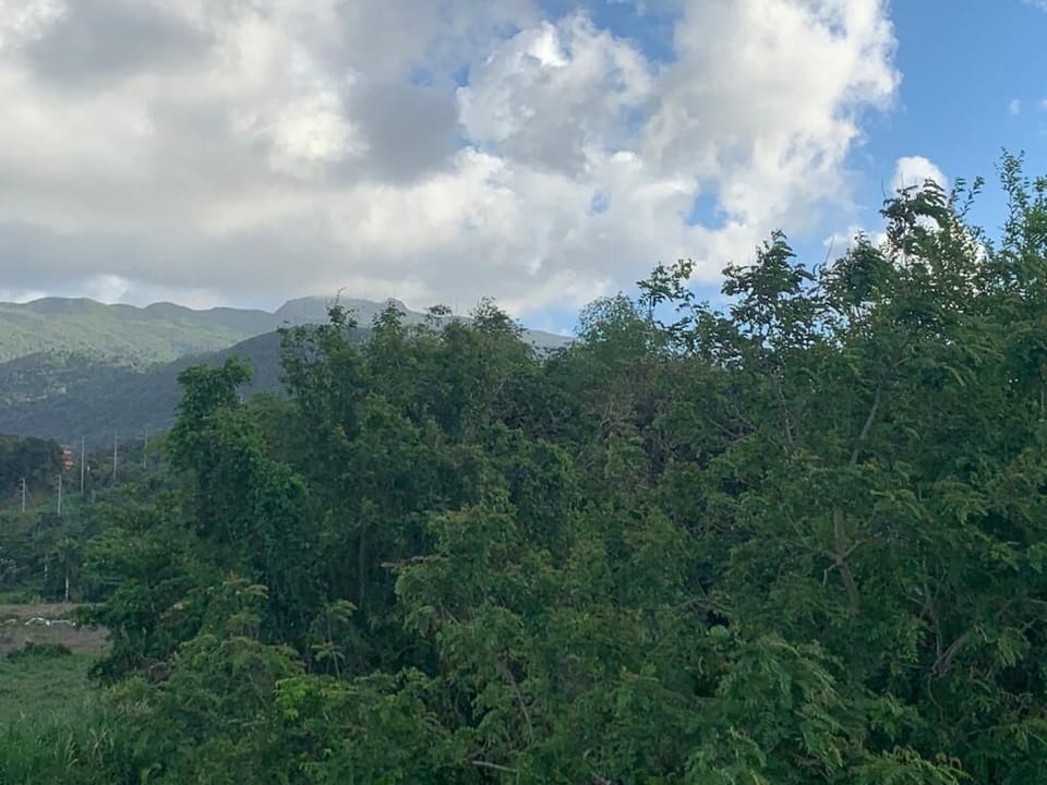 View from the rooftop. 