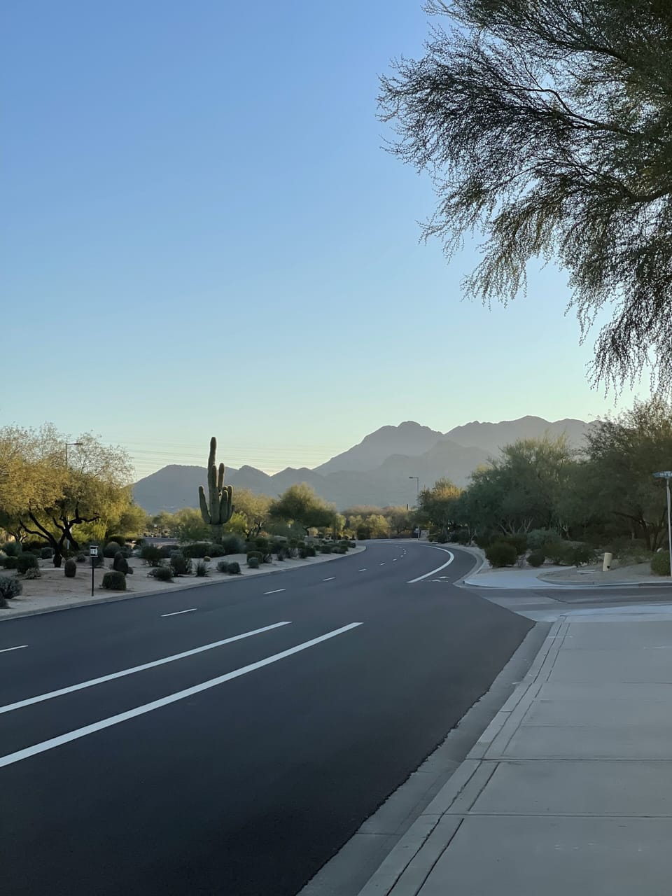 McDowell Mountains has great hiking trails and sunset views.