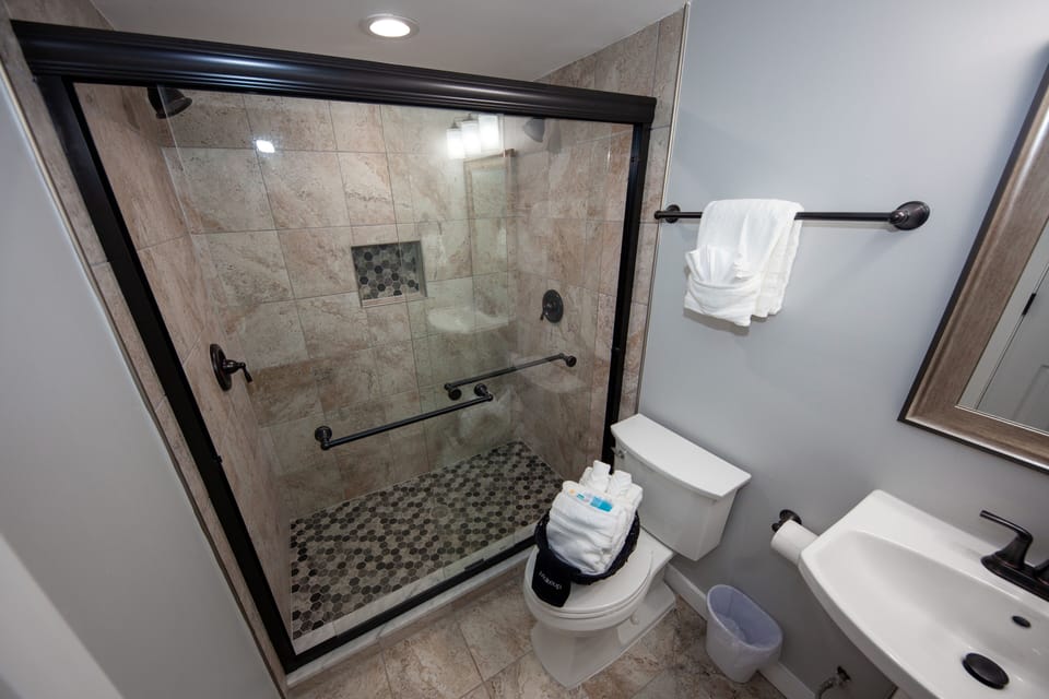 Basement Bathroom- Dual Shower Heads