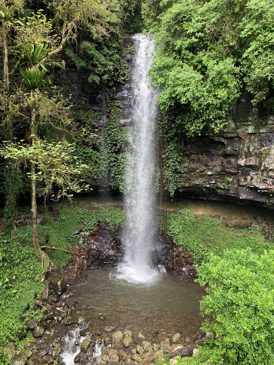 Dorigo National Park is one of the many wonderful day trips from Tallulah