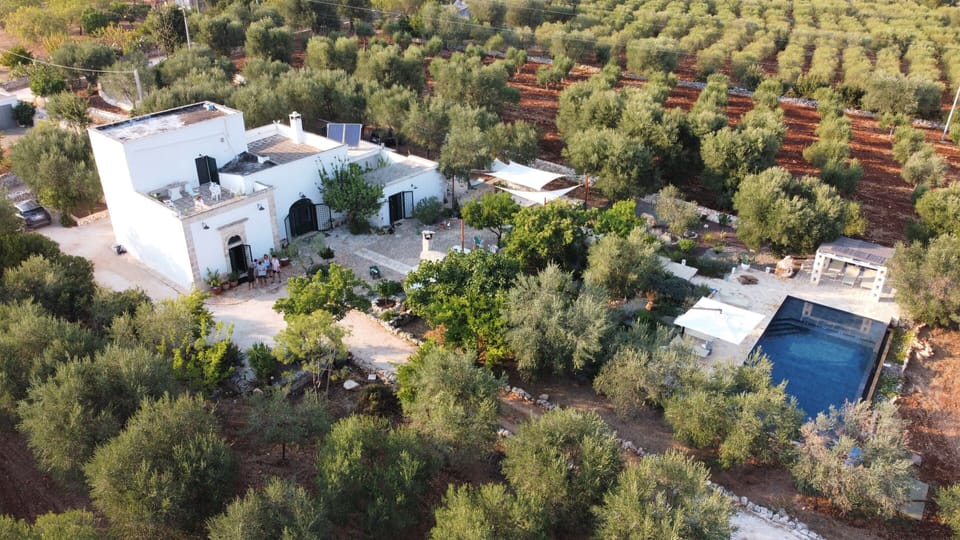 house and pool