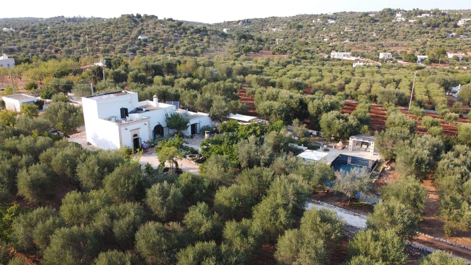 bird's eye view of house and pool