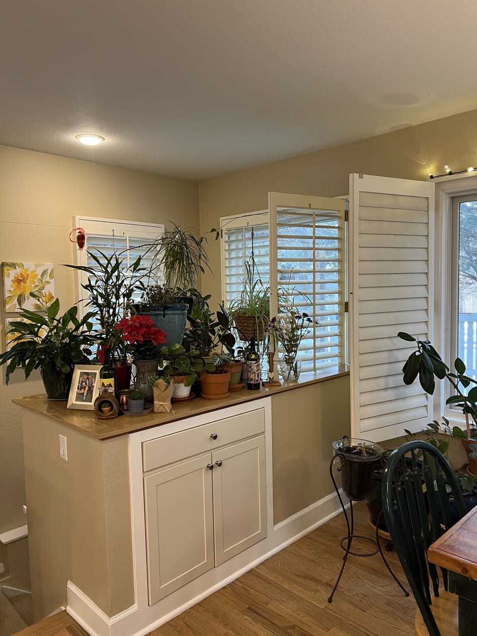 Plant area/kitchen nook.  