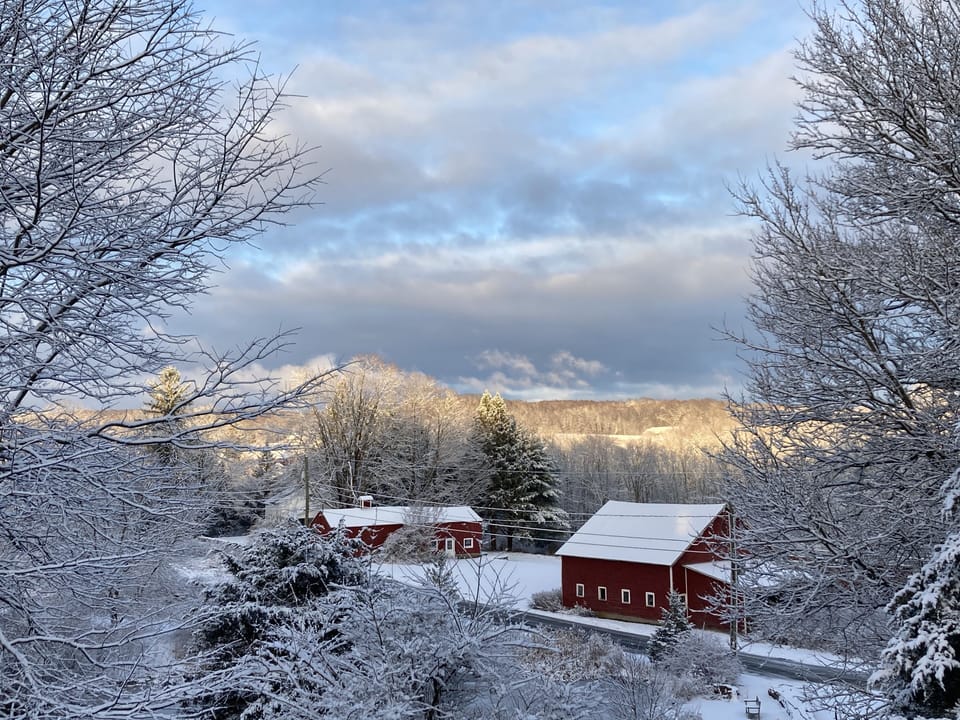 Winter views from  our  property