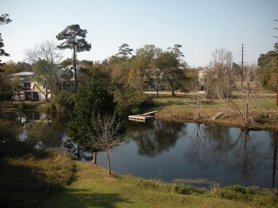 Overlook of Flagg Pond