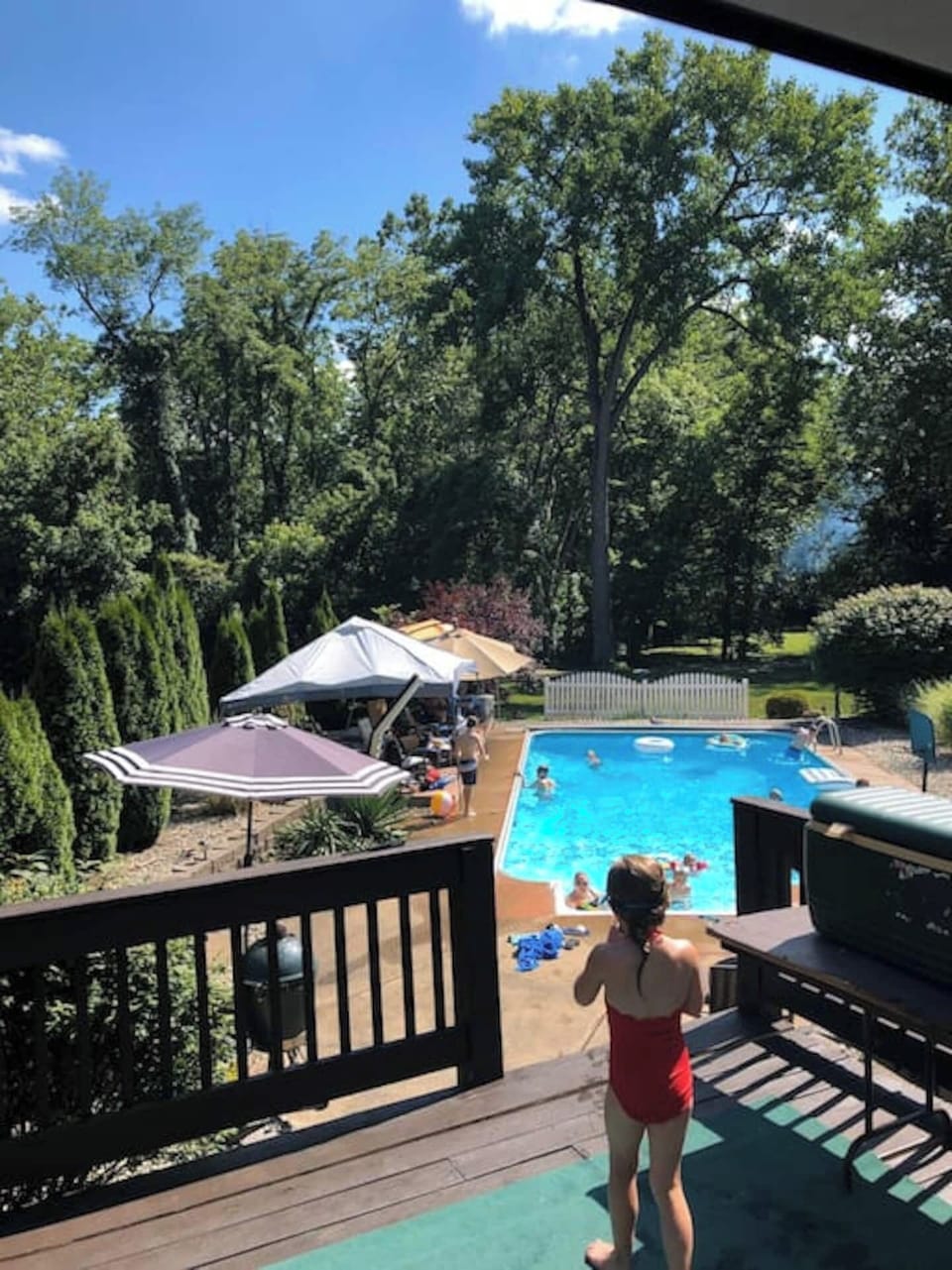 In season...end May - end September