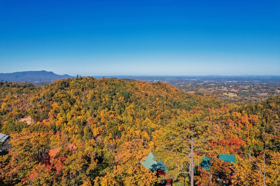 Fall Views