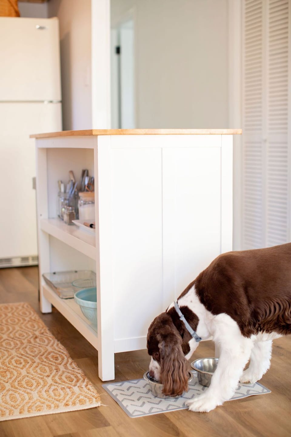 The house is dog friendly (extra pet fee) and has two feeding bowls.
