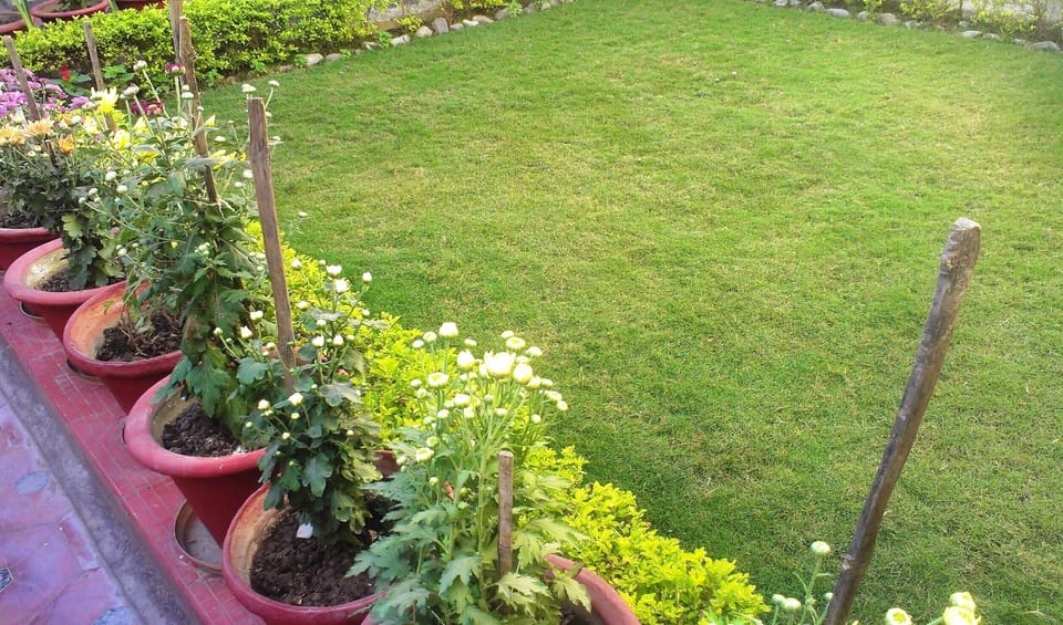 Terrace Garden on the 1st Floor adjacent to One BHK Apartment SA1