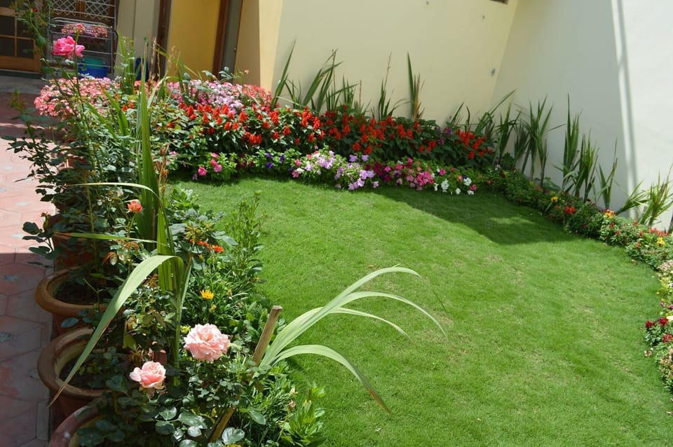 Terrace Garden on the 1st Floor adjacent to One BHK Apartment SA1