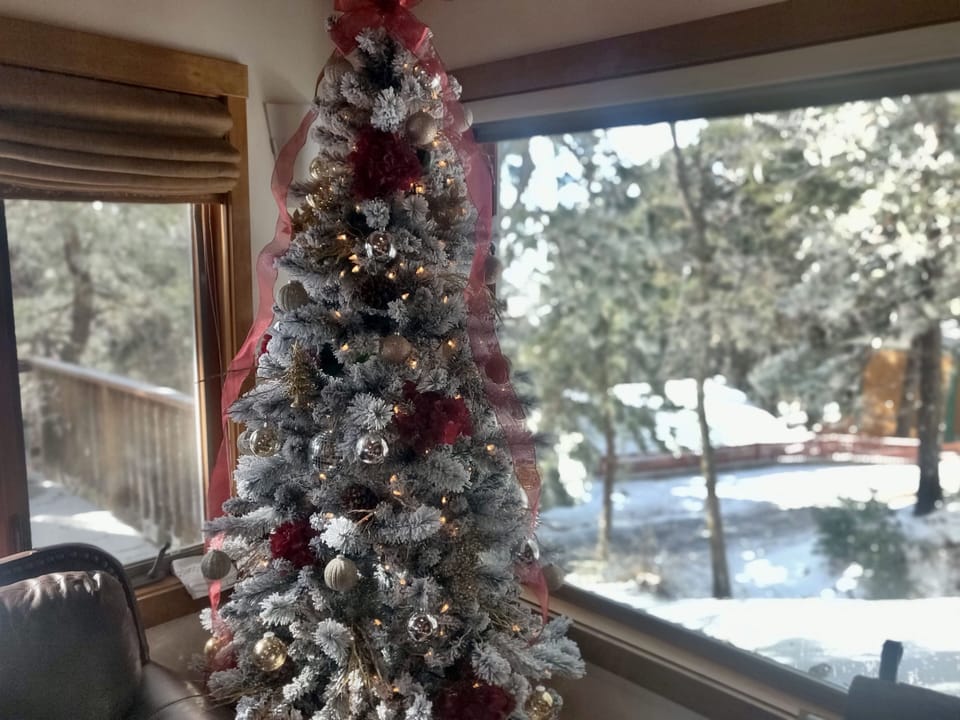 Christmas tree in December