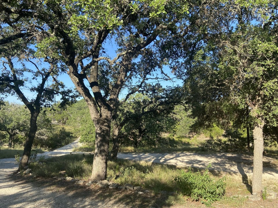 View from porch.