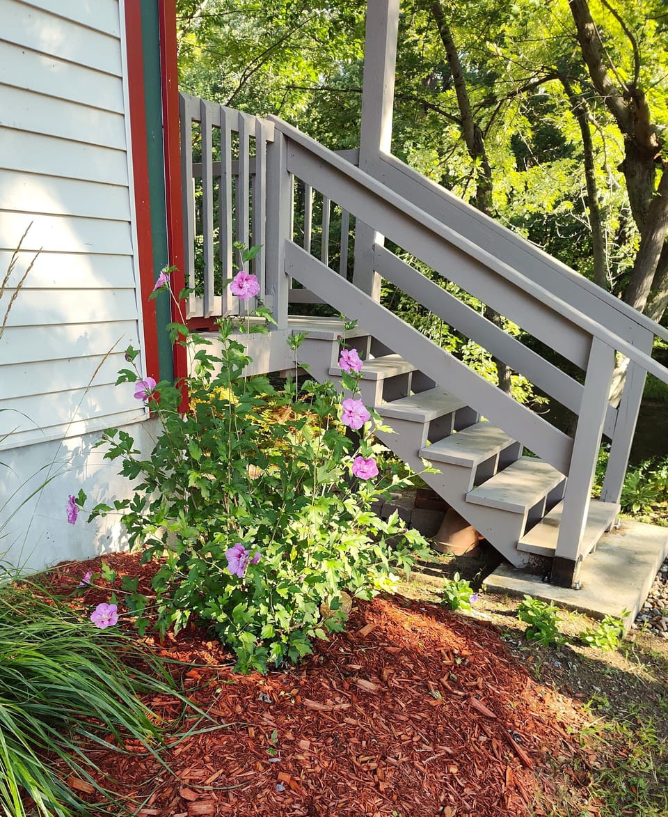 Stairs to private deck & studio entrance