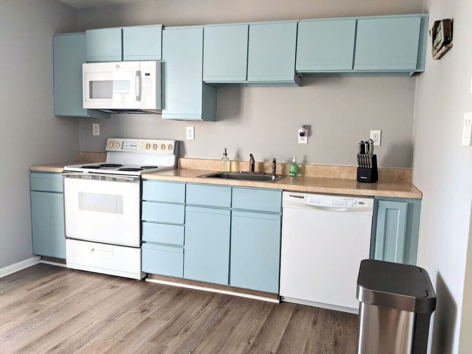 The kitchen has an electric stove and dishwasher.