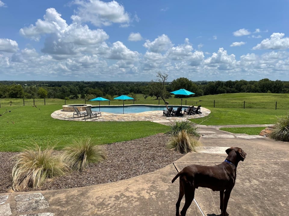 Duke and Pool