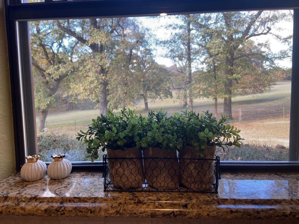 Large pasture view from kitchen area