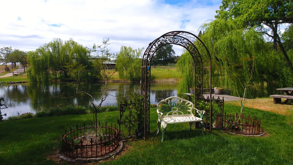 Nice photo shoot area.