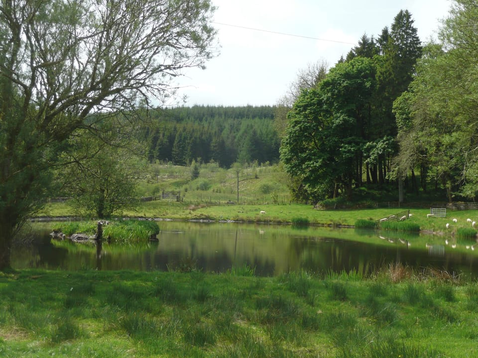 Surrounding area | South Cottage - Howpasley Farm, Howpasley, near Hawick