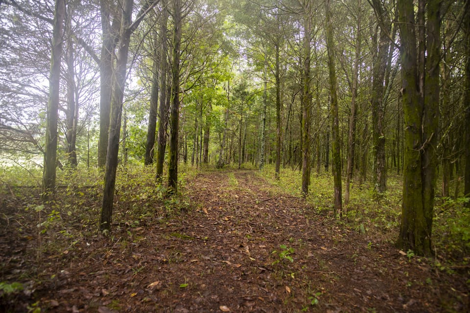 And...more trails.  You hike at your own risk.