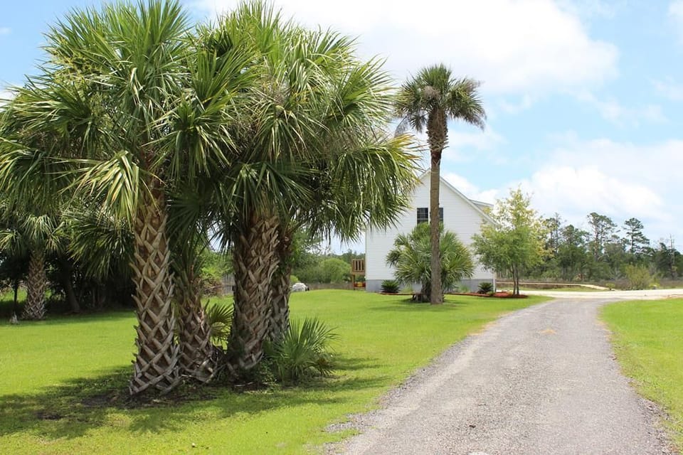 Palmetto Hut