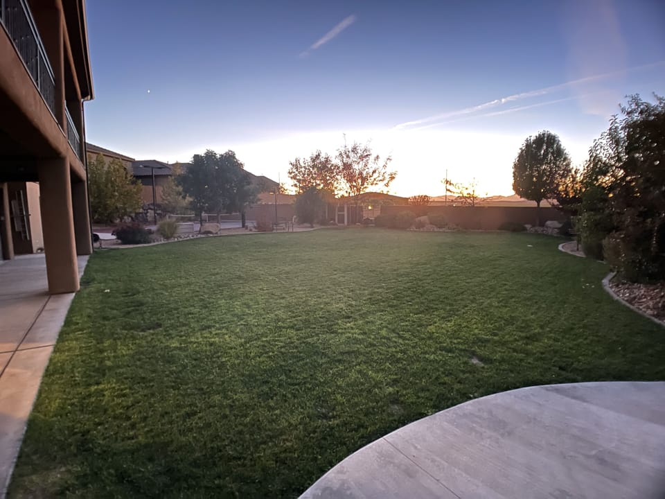 Backyard area