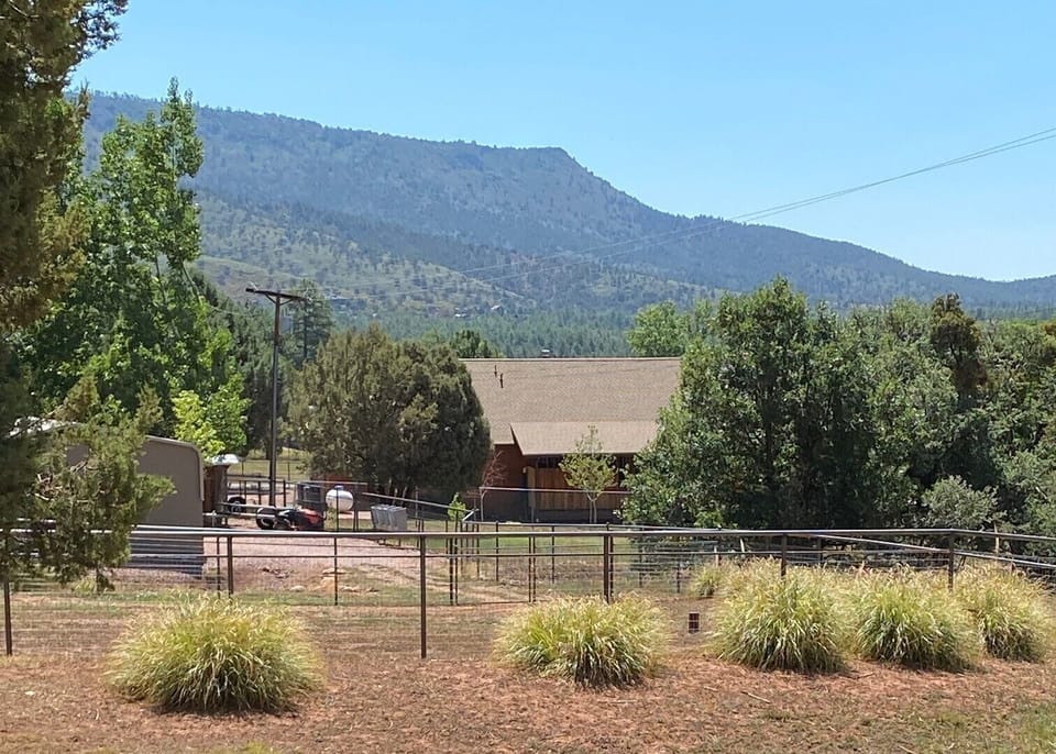 View from the Deck