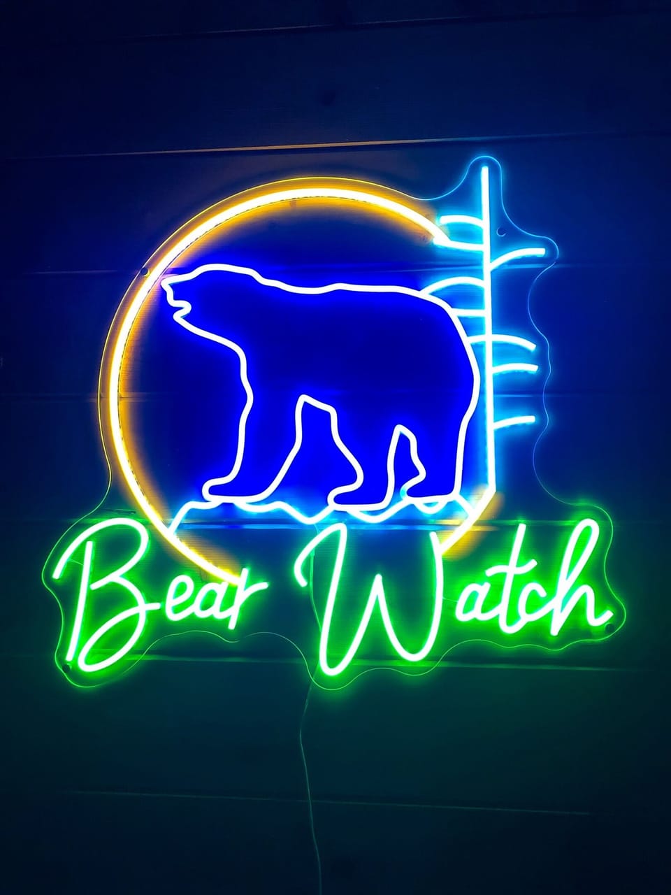 Welcome to Bear Watch! This property is managed by Unico Sol Properties and we cannot wait to host you!