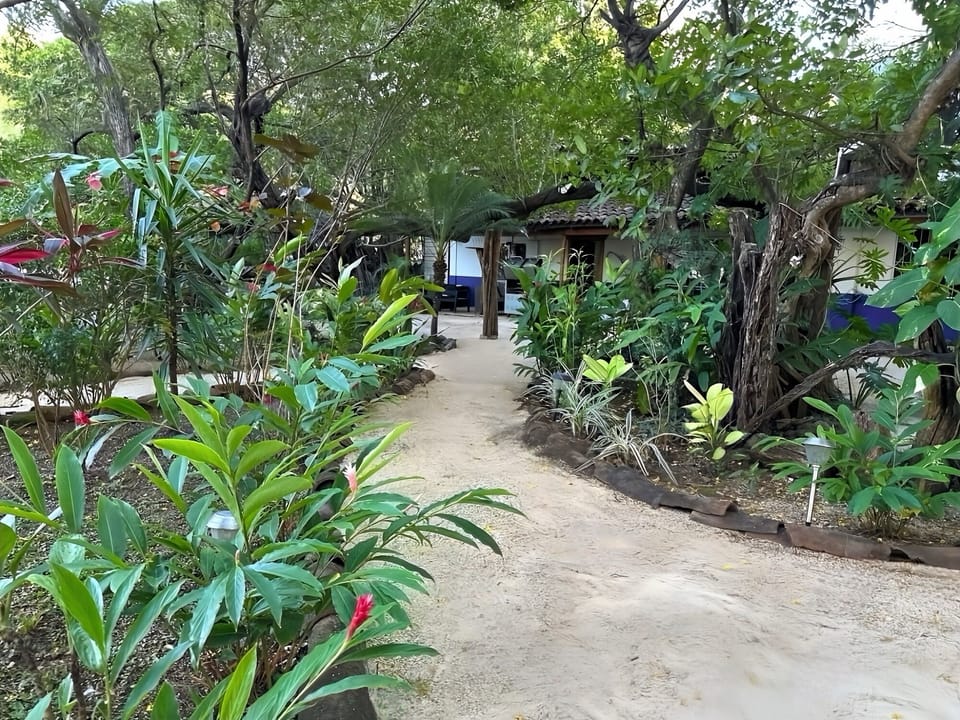 Beautiful natural gardens