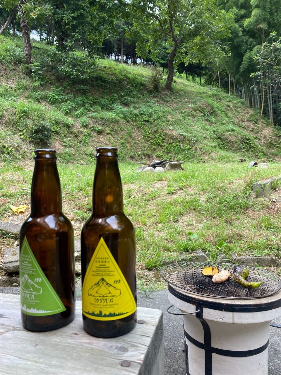 You can also wrap the dug bamboo shoots in foil and grill them over charcoal!
